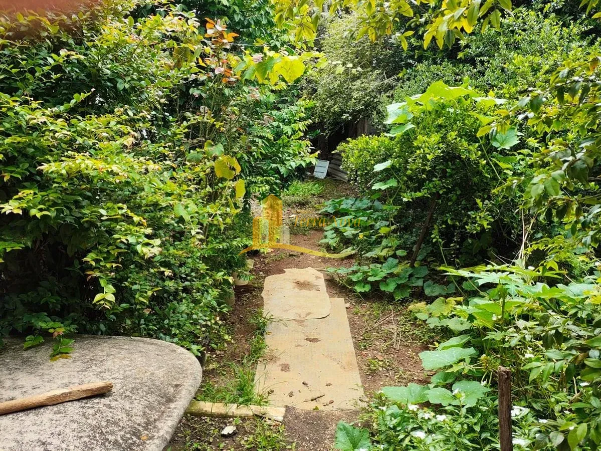 Casa, 5 quartos, 500 m² - Foto 28