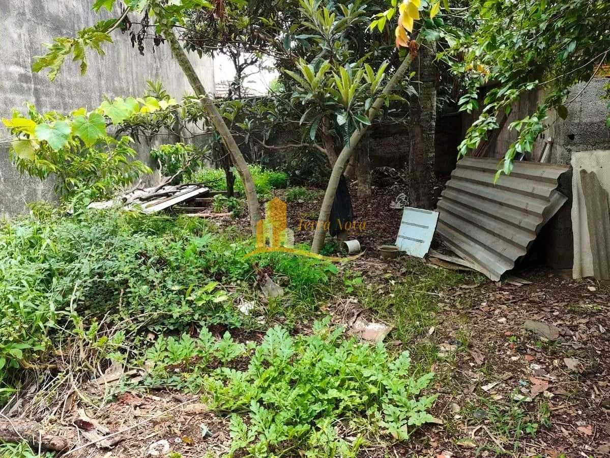 Casa, 5 quartos, 500 m² - Foto 29
