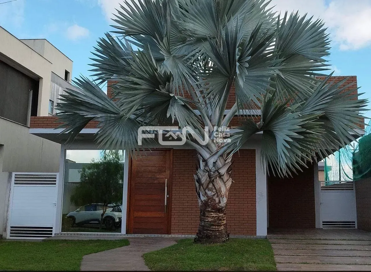Casa, 2 quartos, 10 m² - Foto 2
