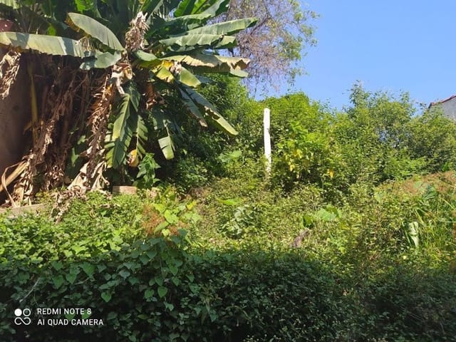Foto do Casa - Casa Residencial à venda, Vila Pirajussara, São Paulo - CA1263. | Miani Imóveis