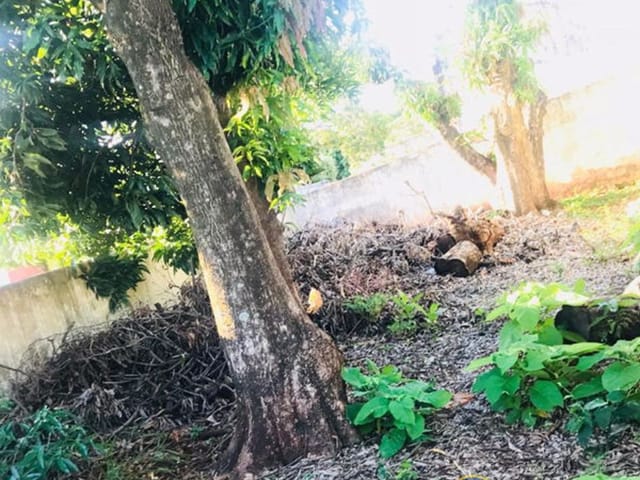 Foto do Casa - Casa à venda 3 Quartos, 2 Vagas, 600M², Ipanema, Londrina - PR | Imobiliária Natal LTDA