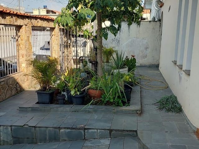 Casa 3 quartos e 3 banheiros, à venda, no bairro Vila Santa Terezinha (Zona Norte) em São Paulo