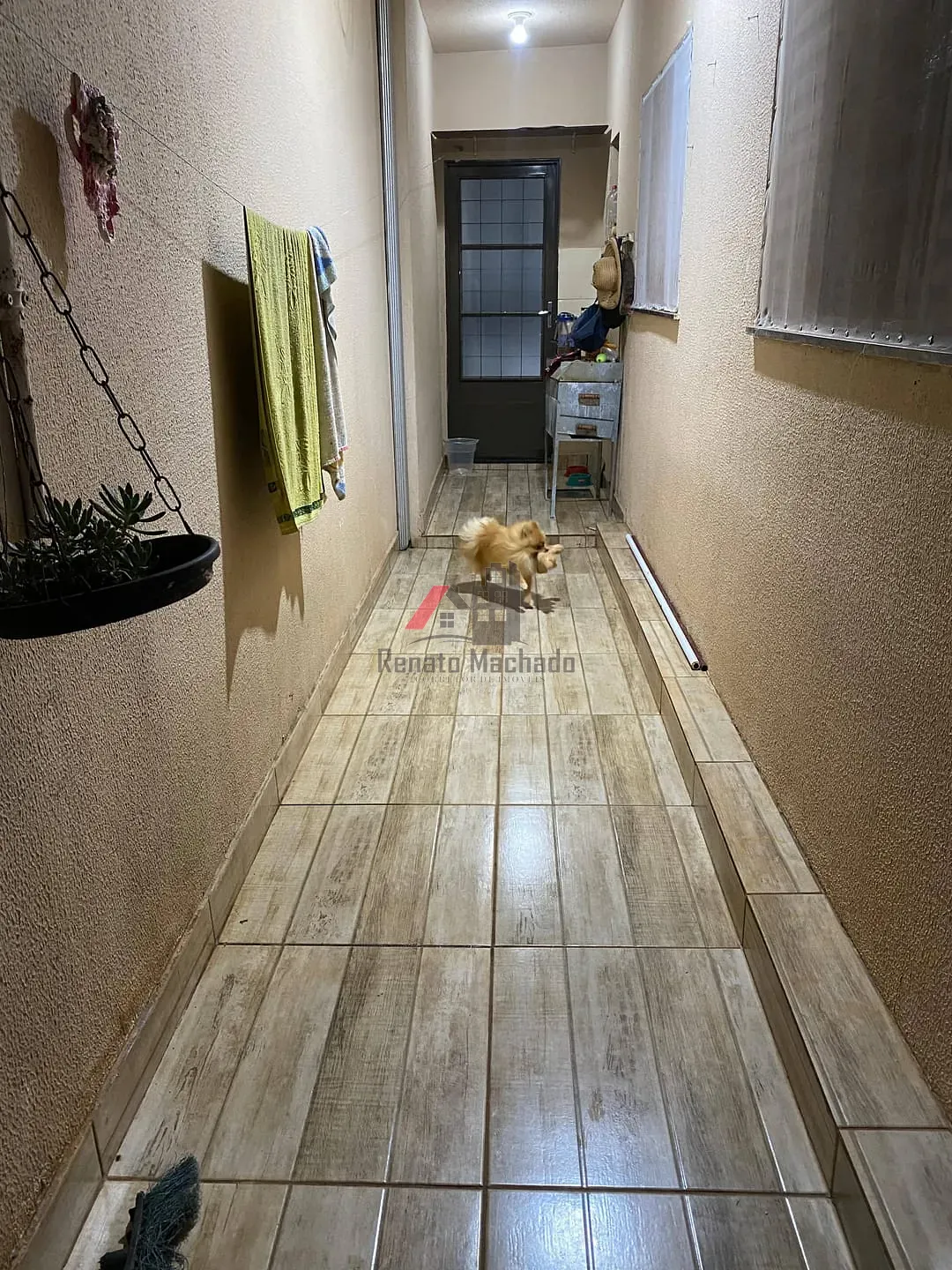 Casa, 3 quartos, 60 m² - Foto 5