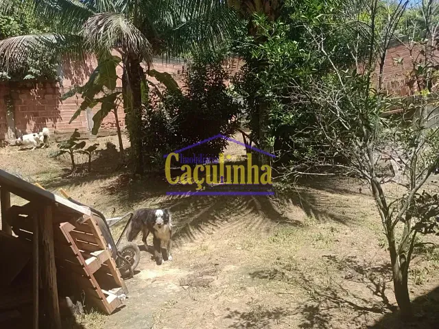 Casa com 511m² 3 quartos e 1 banheiro, à venda ou para alugar, no bairro Dorandia em Barra do Piraí