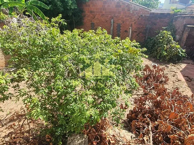 Casa com 360m² 3 quartos e 2 banheiros, à venda, no bairro Jardim Bela Vista em Bauru