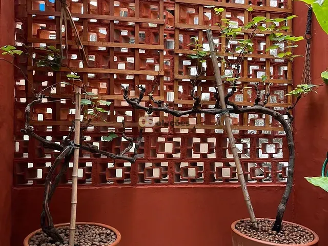 Casa 2 quartos e 2 banheiros, à venda, no bairro Vila Clementino em São Paulo