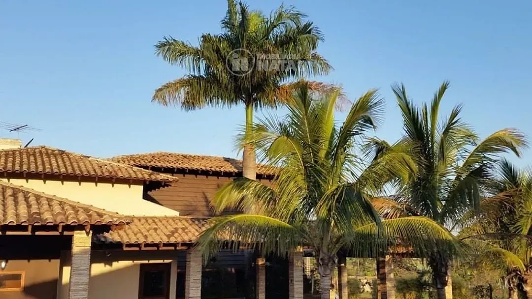 Casa, 4 quartos, 10 m² - Foto 5