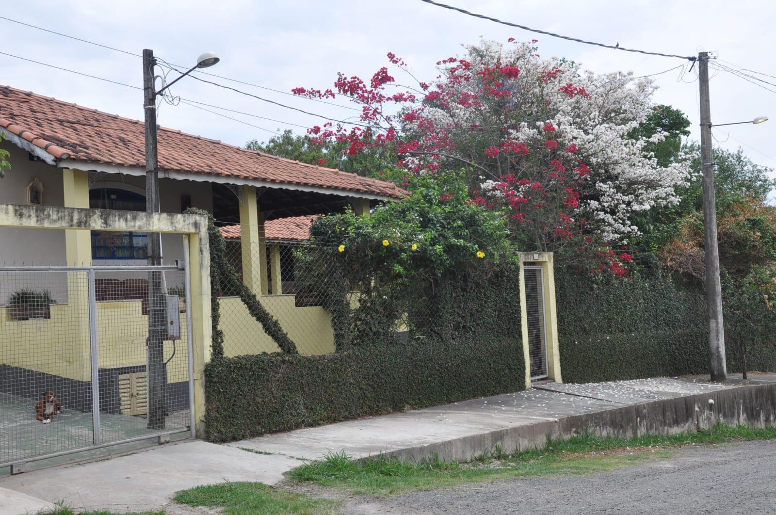 Casa, 3 quartos, 300 m² - Foto 5