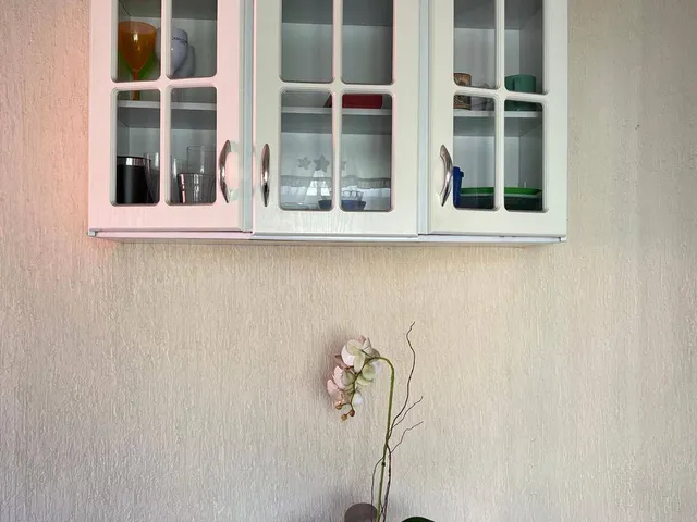 Casa 1 quarto e 1 banheiro, para alugar, no bairro Vila Medeiros em São Paulo