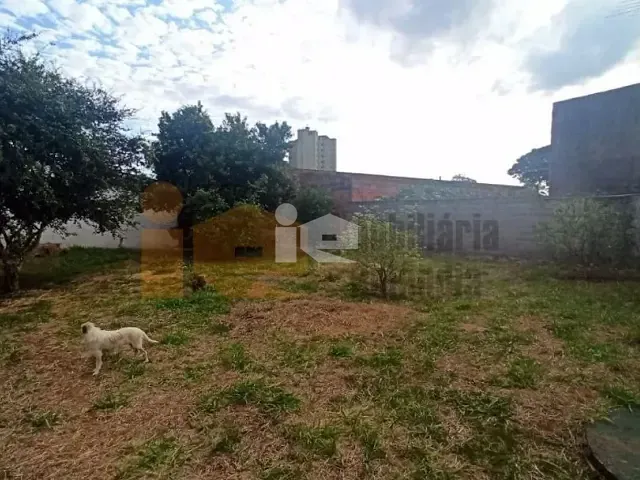 Casa com 825m² 3 quartos e 2 banheiros, à venda, no bairro Centro em Rolândia