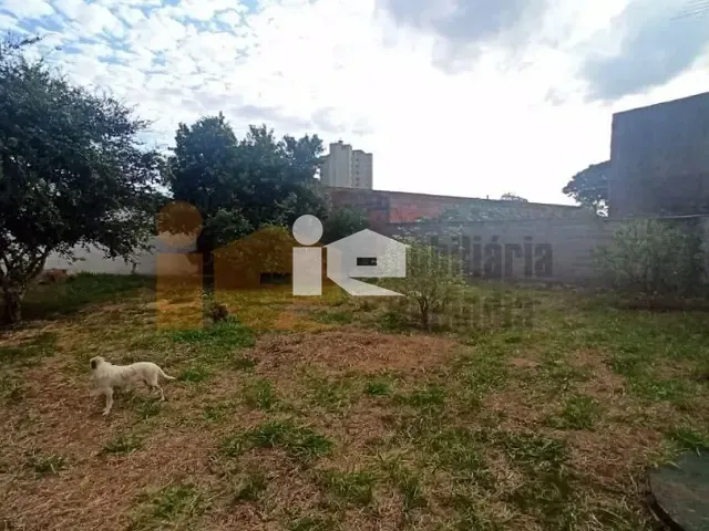Casa com 825m² 3 quartos e 2 banheiros, à venda, no bairro Centro em Rolândia