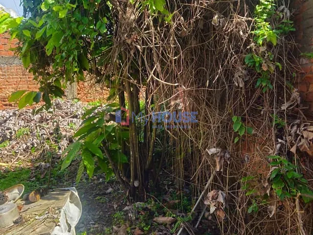 Casa 4 quartos e 3 banheiros, à venda, no bairro Boa Vista em Ilhéus