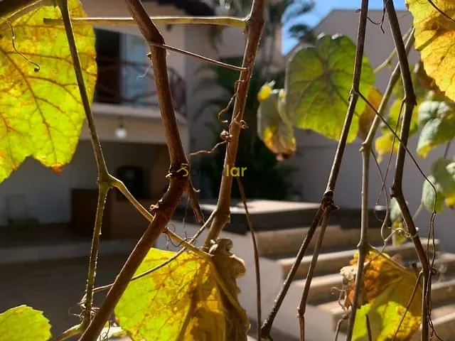 Casa 4 quartos e 4 banheiros, à venda, no bairro Jardim Brasil em Bauru