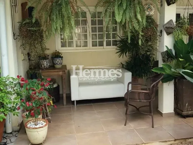 Casa com 1000m² 7 quartos e 5 banheiros, à venda ou para alugar, no bairro Santa Terezinha em Paulínia