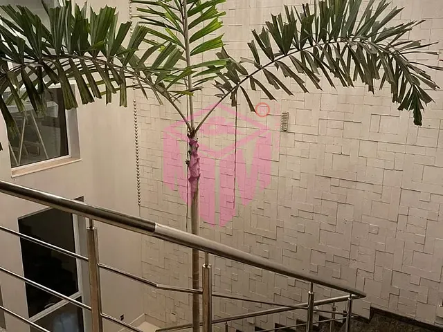 Casa com 872m² 4 quartos e 5 banheiros, à venda, no bairro Parque Terra Nova II em São Bernardo do Campo