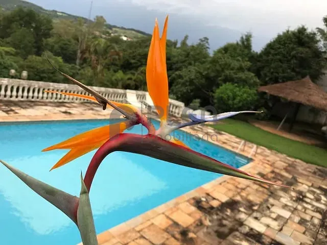 Casa com 3638m² 6 quartos e 6 banheiros, à venda, no bairro Portal das Acácias em Santana de Parnaíba