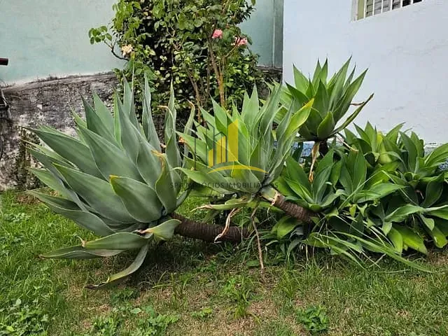 Casa 3 quartos e 3 banheiros, à venda, no bairro Vila Aricanduva em São Paulo