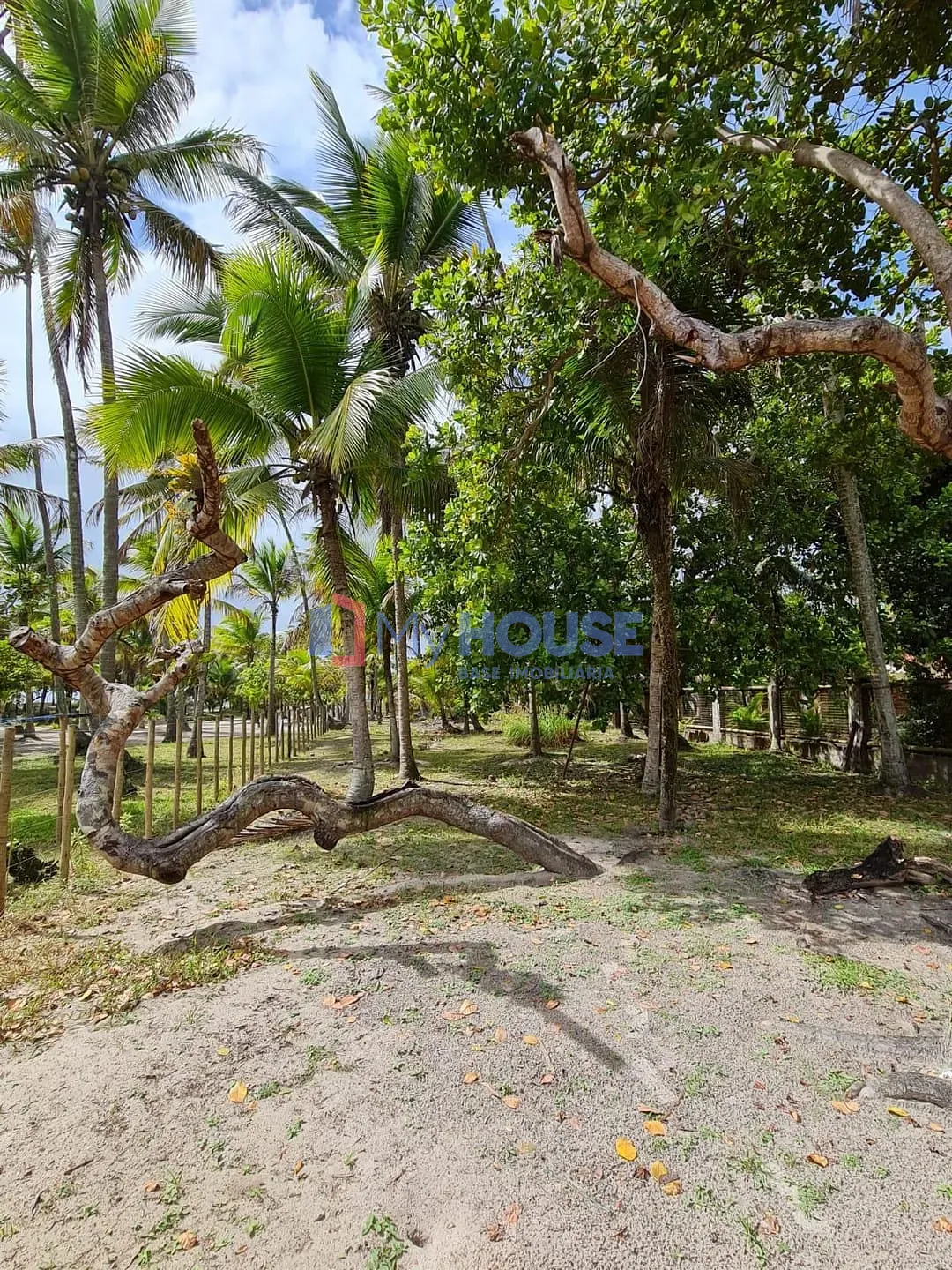 Casa, 3 quartos, 900 m² - Foto 9