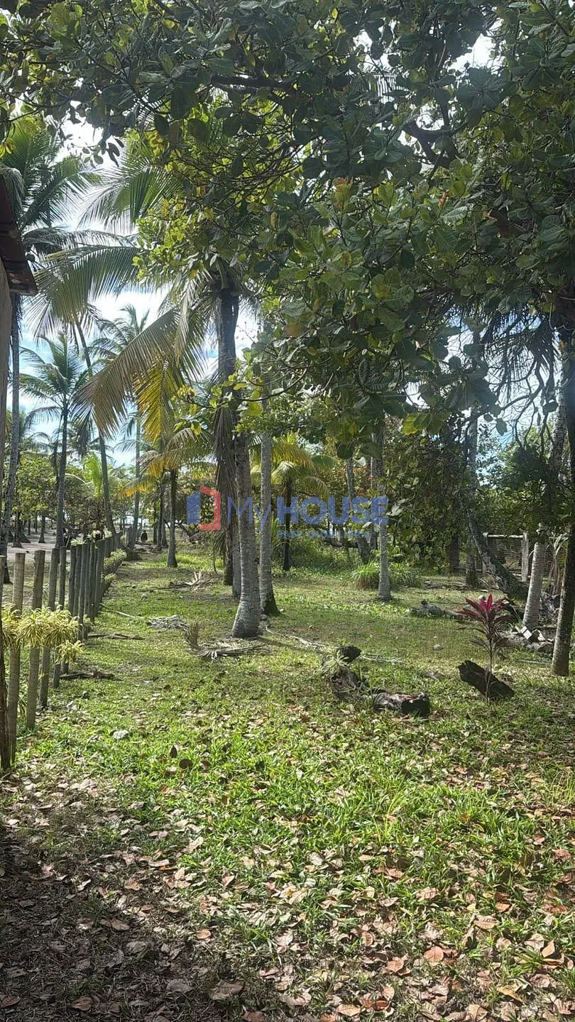 Casa, 3 quartos, 900 m² - Foto 8
