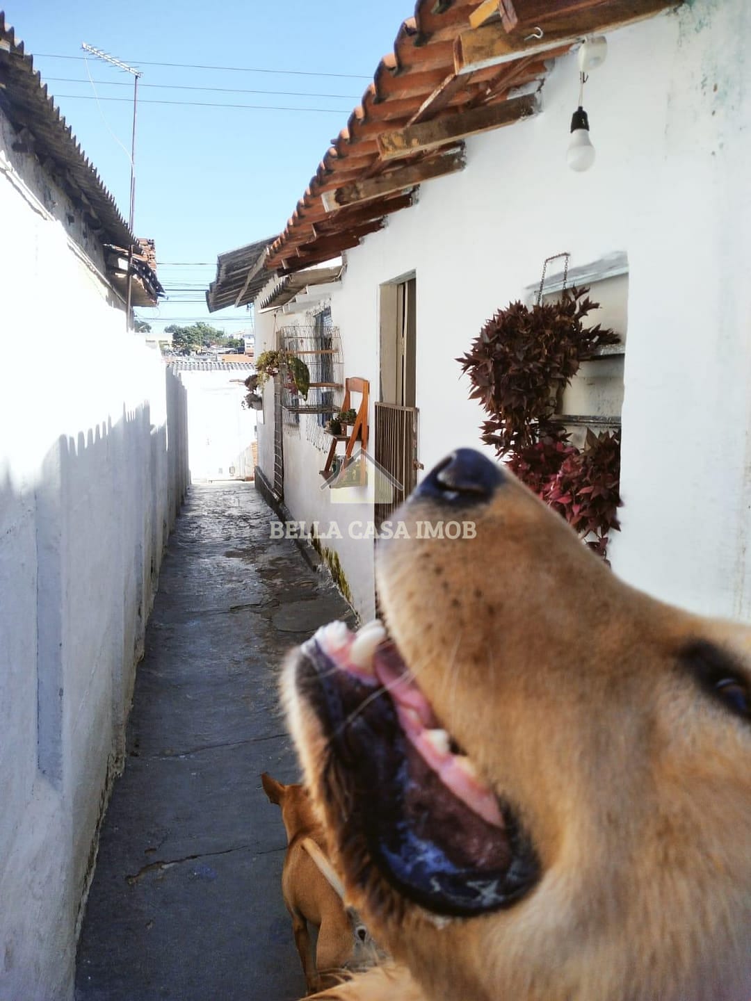 Casa, 2 quartos, 180 m² - Foto 32