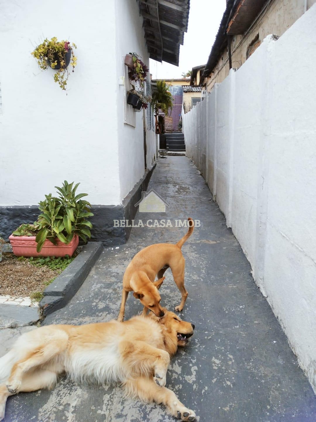 Casa, 2 quartos, 180 m² - Foto 19