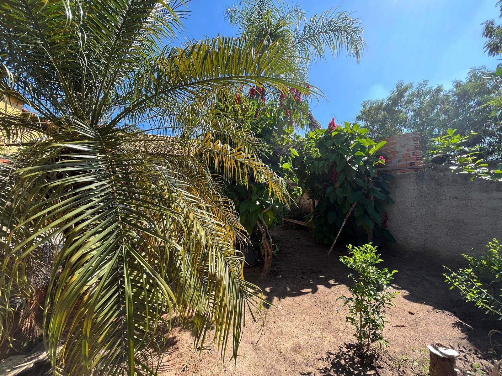 Casa, 1 quarto, 100 m² - Foto 22