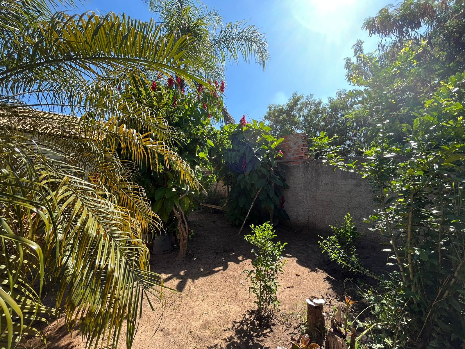 Casa, 1 quarto, 100 m² - Foto 23