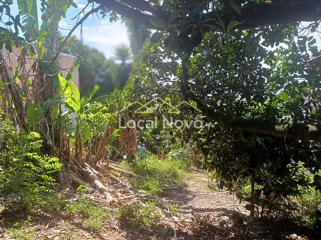 Casa com 200m² 1 quarto e 1 banheiro, à venda, no bairro Parque Primavera em Guarulhos