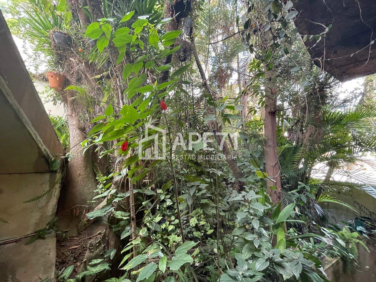 Casa, 4 quartos, 259 m² - Foto 41