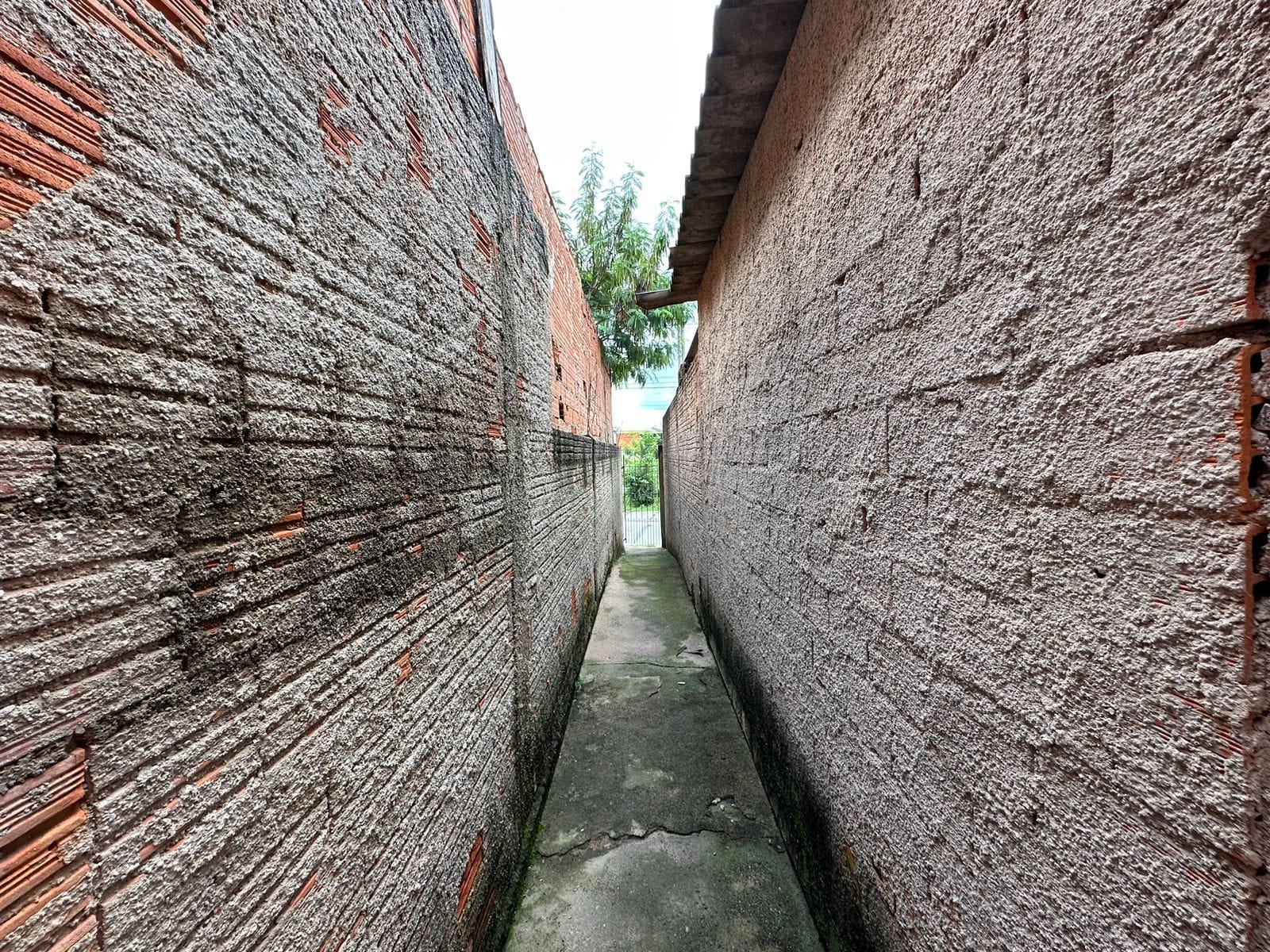 Casa, 5 quartos, 110 m² - Foto 14