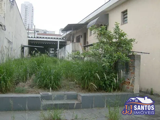Casa com 460m² 2 quartos e 2 banheiros, à venda, no bairro Vila Bertioga em São Paulo