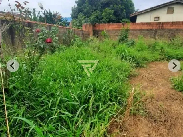 Casa com 480m² 6 quartos e 3 banheiros, à venda, no bairro Ipiranga em Ribeirão Preto