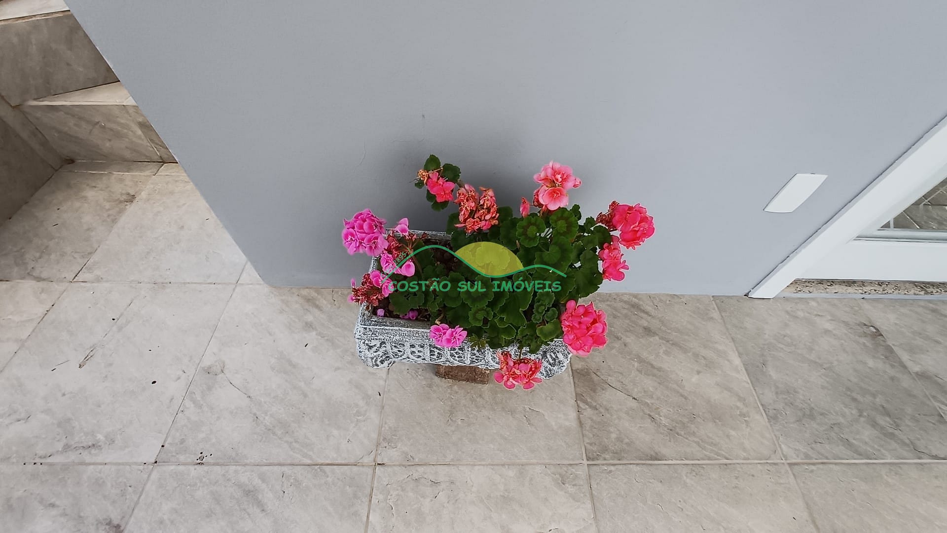 Casa, 3 quartos, 260 m² - Foto 99