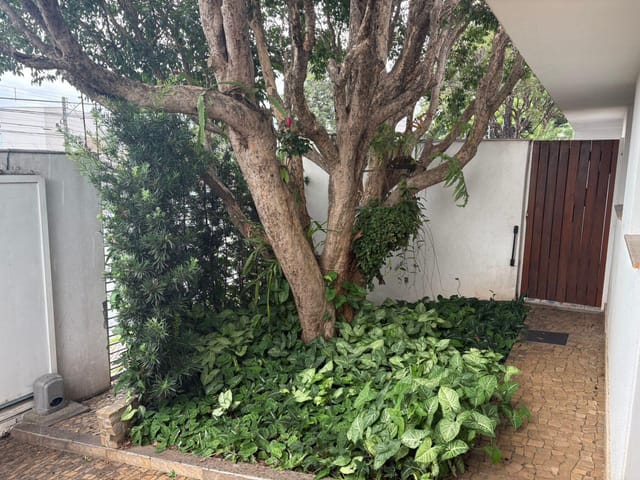Casa com 405m² 3 quartos e 5 banheiros, à venda, no bairro Dom Pedro em Londrina