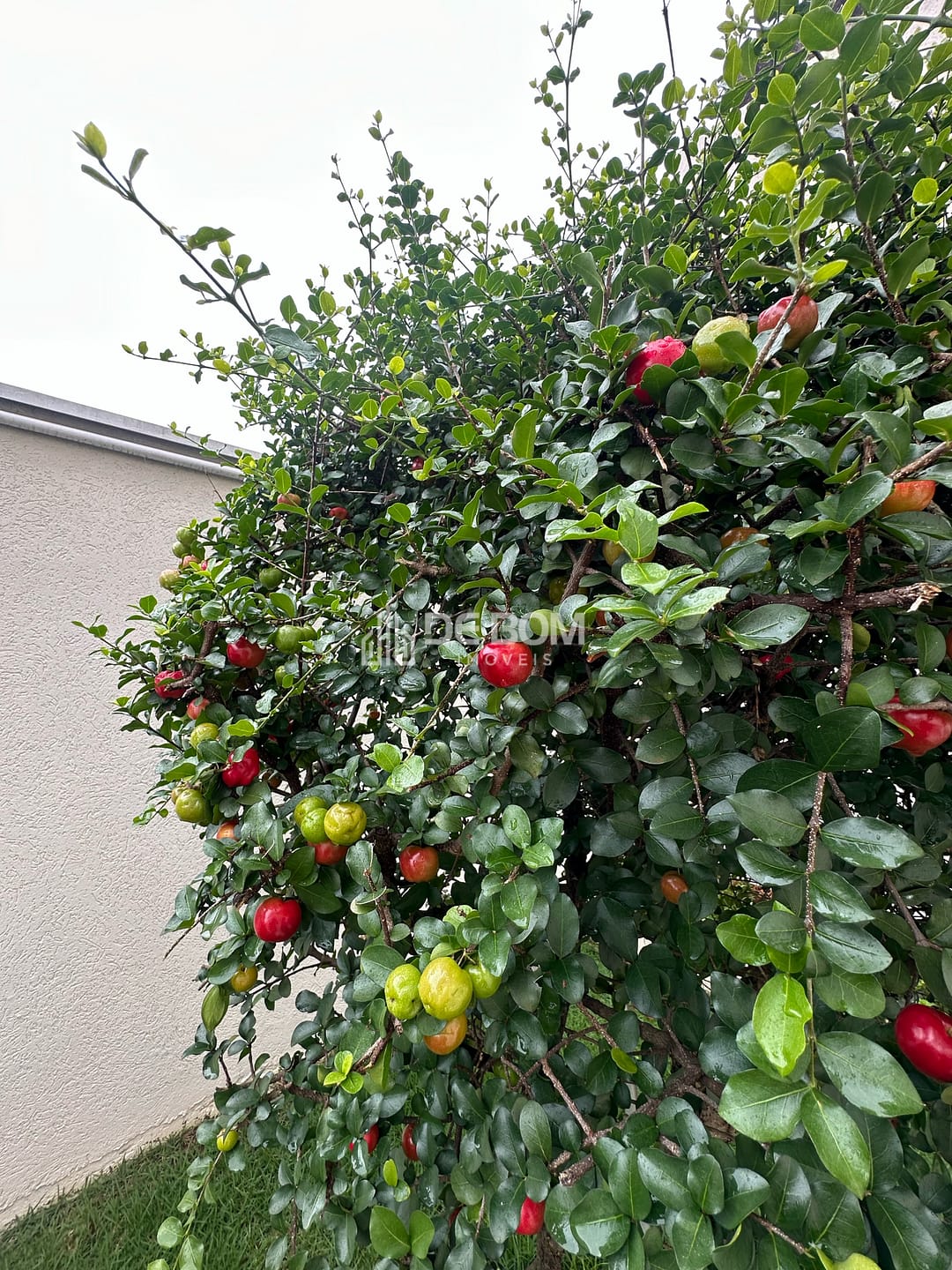 Casa, 5 quartos, 400 m² - Foto 44