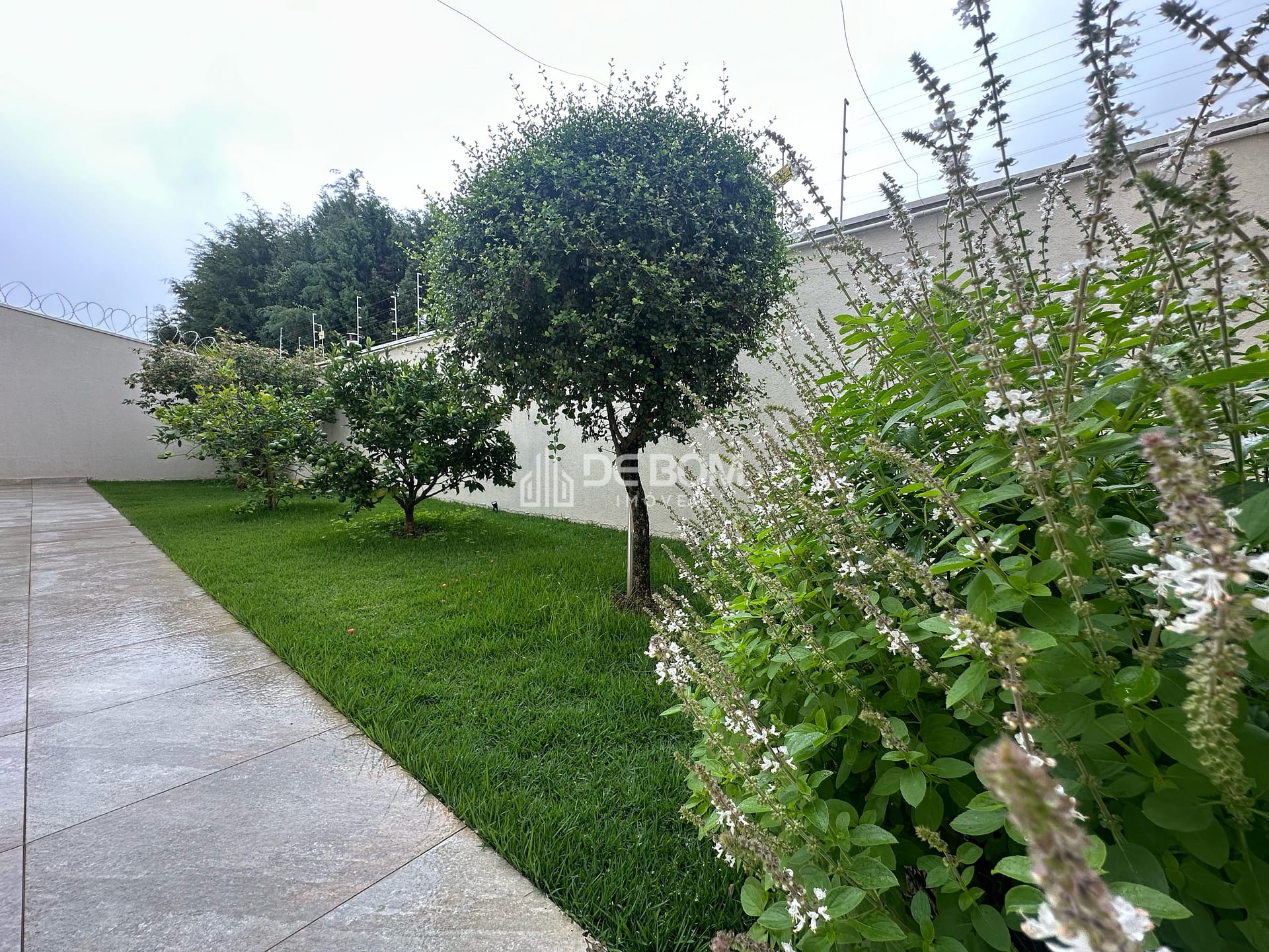 Casa, 5 quartos, 400 m² - Foto 43