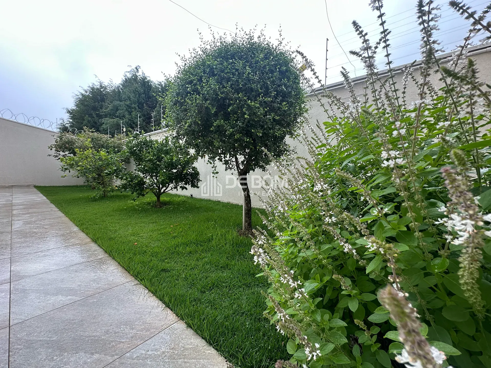 Casa, 5 quartos, 400 m² - Foto 43