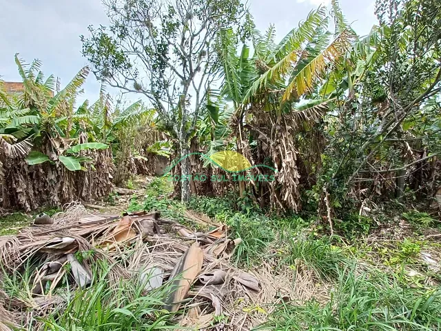 Casa 3 quartos e 2 banheiros, à venda, no bairro Ribeirão da Ilha em Florianópolis