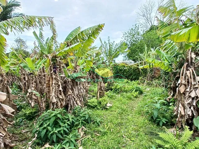 Casa 3 quartos e 2 banheiros, à venda, no bairro Ribeirão da Ilha em Florianópolis