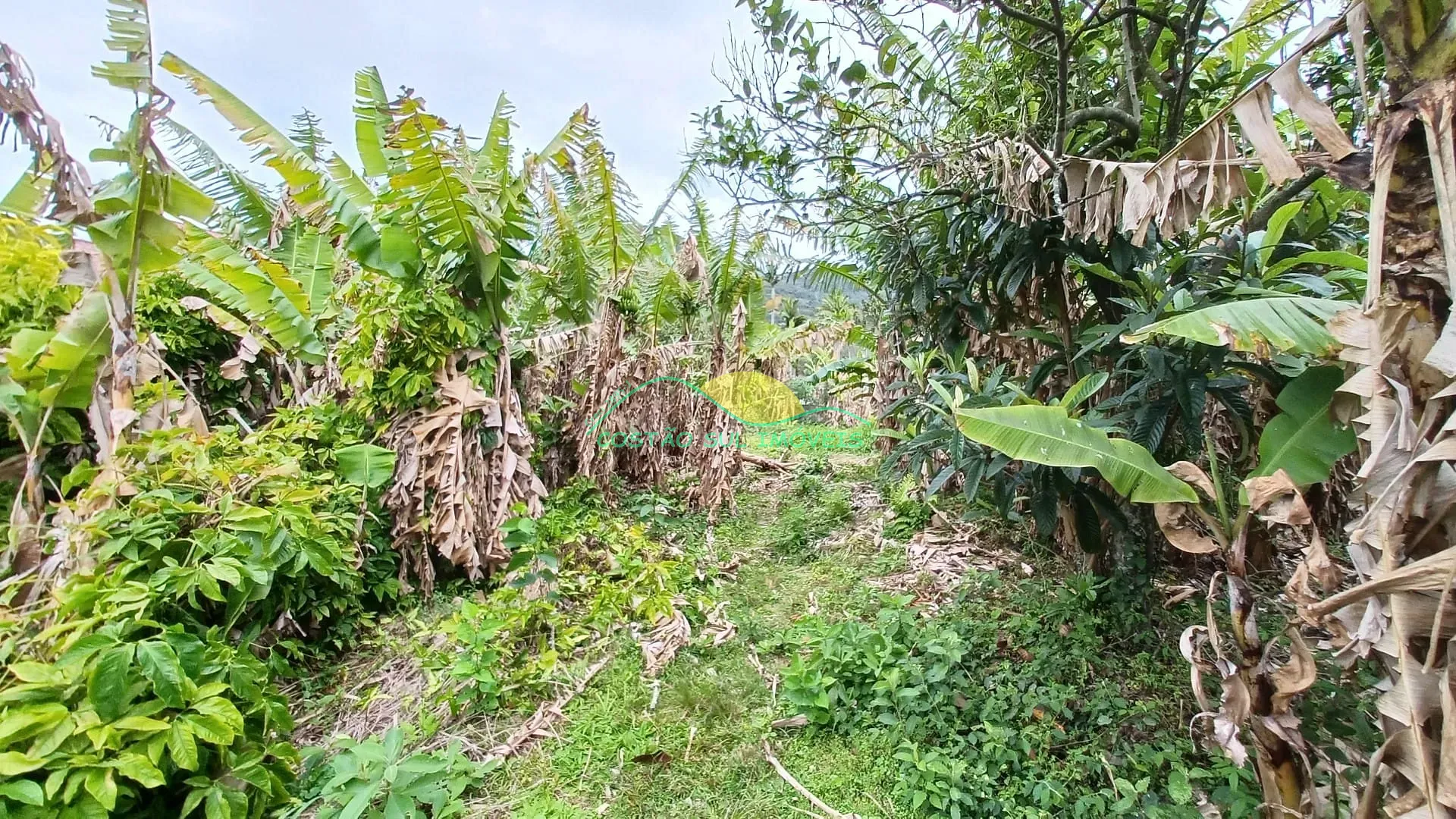 Casa, 3 quartos, 155 m² - Foto 22