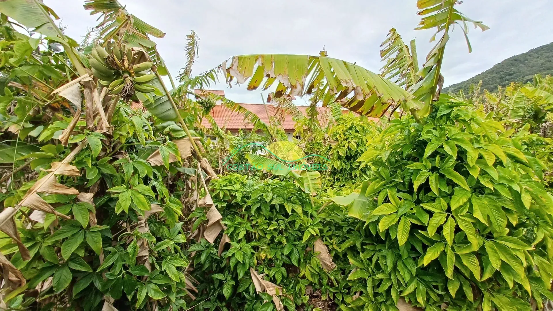 Casa, 3 quartos, 155 m² - Foto 6