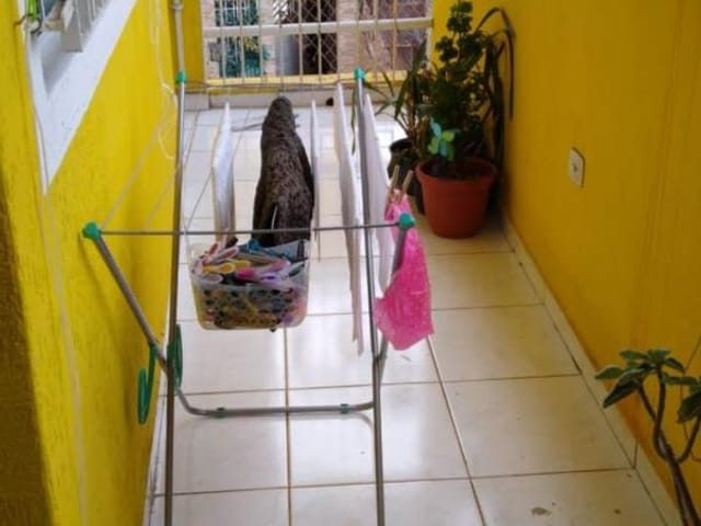 Foto do Casa - Residencial - Jardim Esmeralda | Zequinha Imóveis