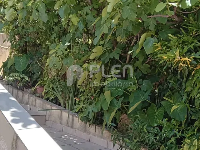 Casa 7 quartos e 7 banheiros, à venda, no bairro Vila Isolina Mazzei em São Paulo