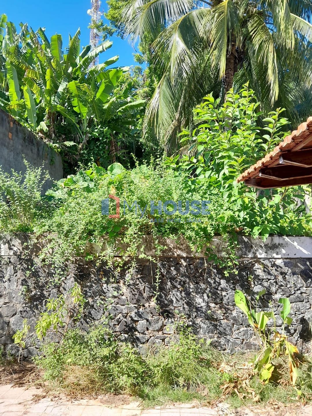 Casa, 3 quartos, 242 m² - Foto 5