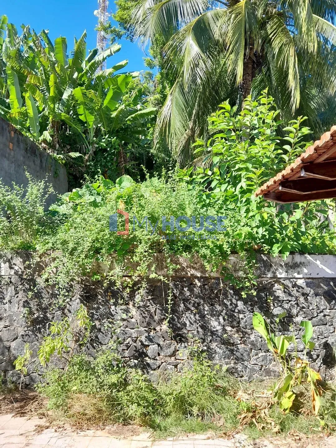 Casa, 3 quartos, 242 m² - Foto 5