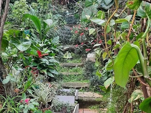 Casa 3 quartos e 3 banheiros, à venda, no bairro Vila Guarani (Z Sul) em São Paulo