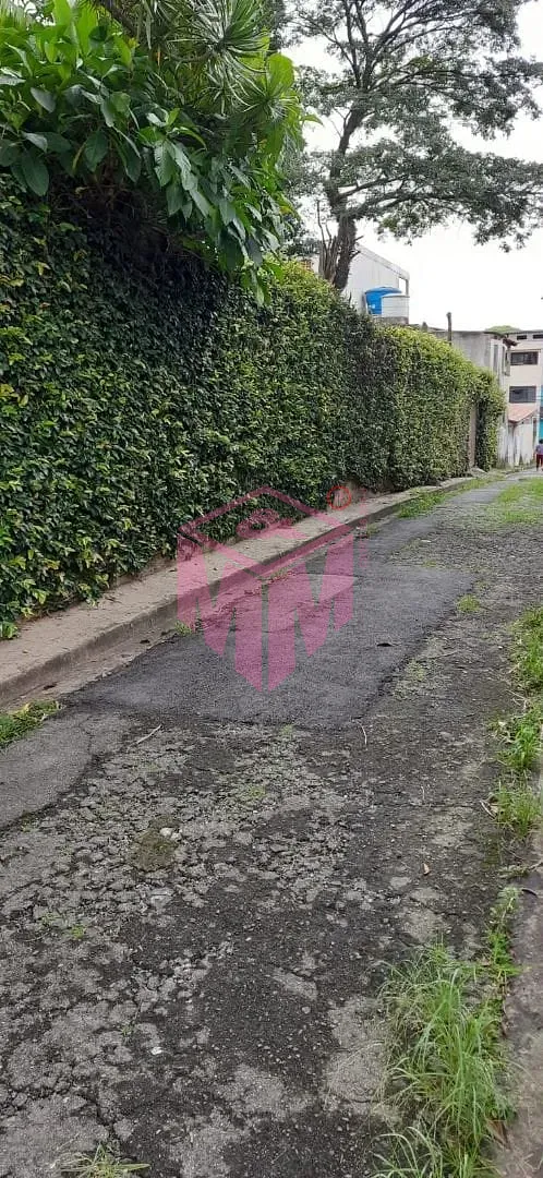 Casa, 4 quartos, 263 m² - Foto 30