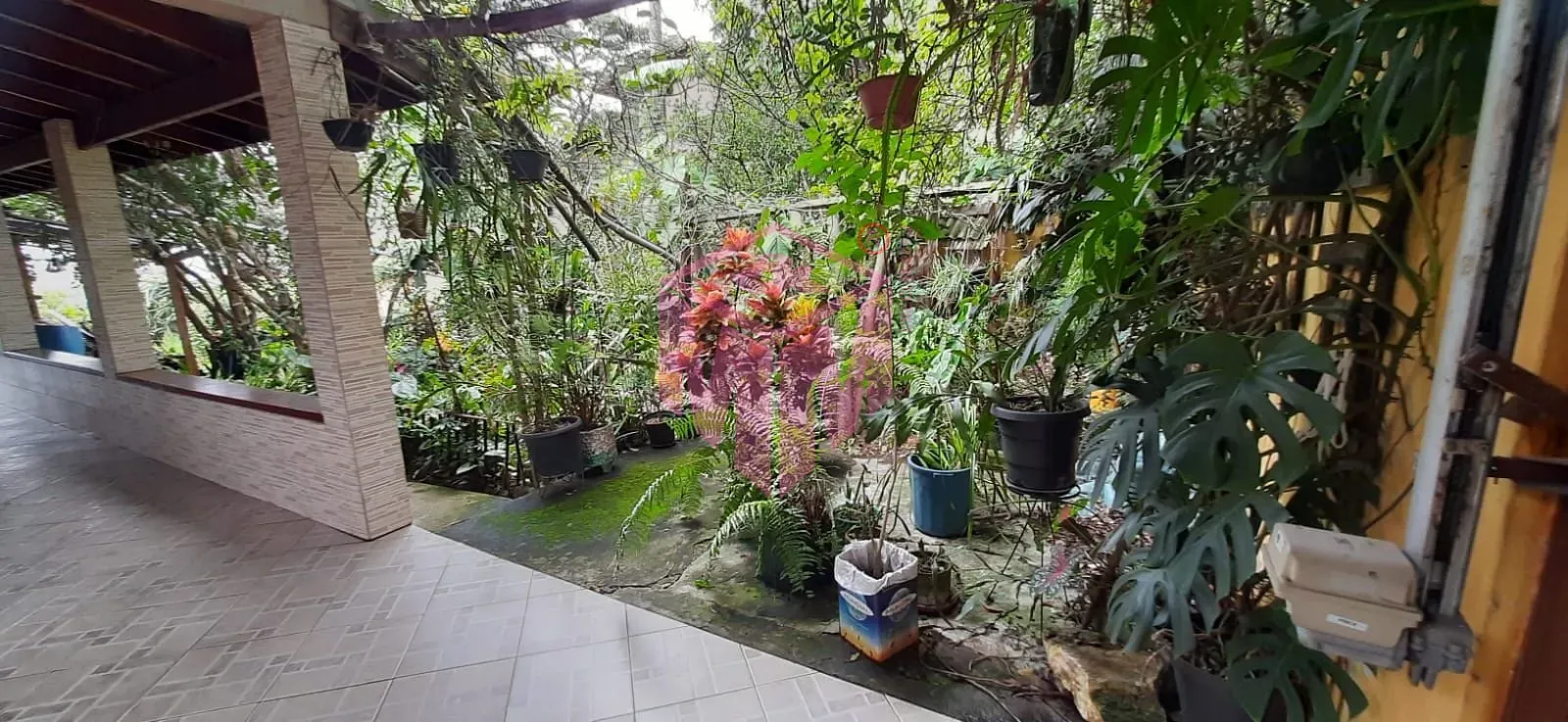 Casa, 4 quartos, 263 m² - Foto 3
