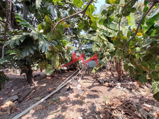 Casa com 450m² 2 quartos e 1 banheiro, à venda, no bairro Coelho em São Gonçalo