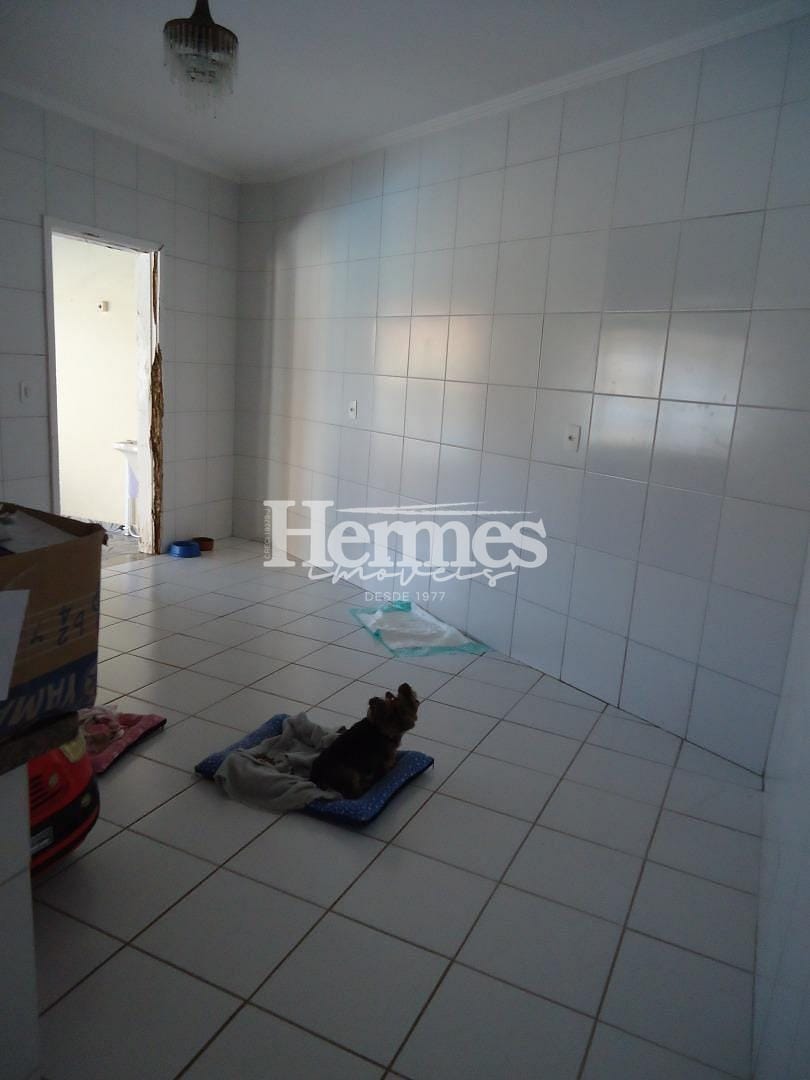 Casa, 4 quartos, 334 m² - Foto 34